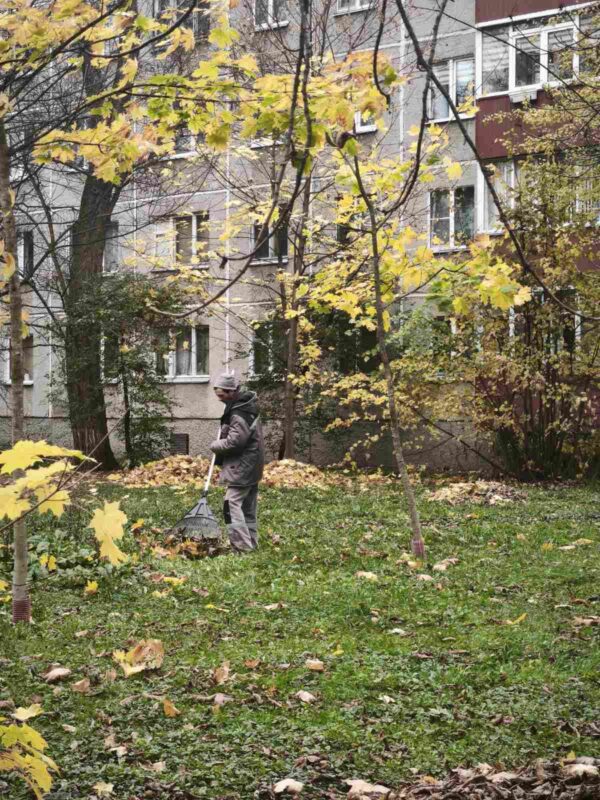 Акция «Чистый четверг»