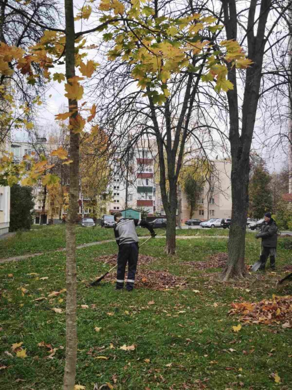 Акция «Чистый четверг»